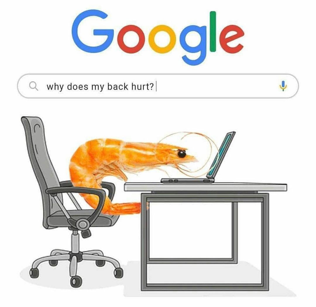 Google why does my back