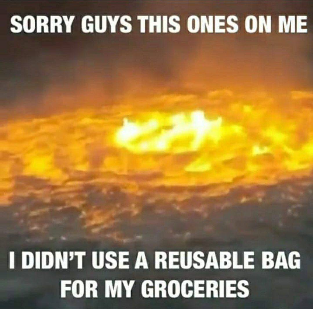 SORRY GUYS THIS ONES ON DIDN’T USE А REUSABLE BAG FOR MY GROCERIES