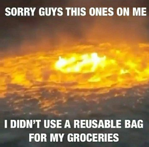 SORRY GUYS THIS ONES ON DIDN’T USE А REUSABLE BAG FOR MY GROCERIES