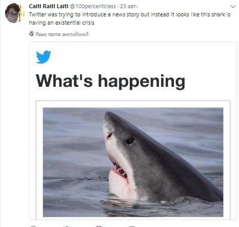 Raitl Laitl @100percentclass 23 авг. Twitter was irying to introduce a news story but instead it looks like this shark is having an existential crisis Язык английский What's at's happening