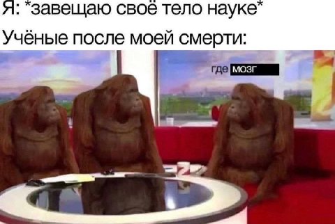 завещаю свое тело науке Ученые после моей смерти: