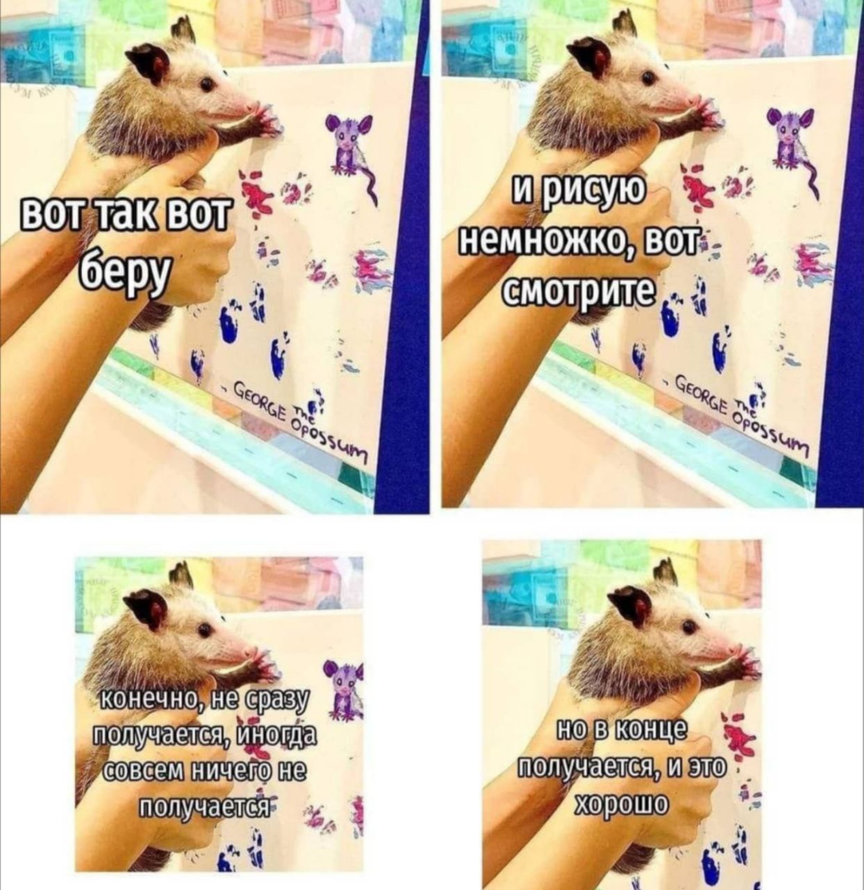 EPpy Pos, HOMBIKOHLE получаетея получается