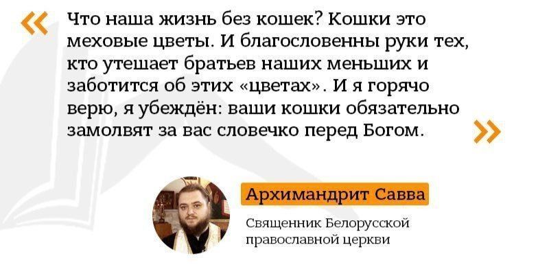 Что наша жизнь без кошек? Кошки это меховые цветы. И благословенны руки тех, кто утешает братьев наших меньших и заботится об этих «цветах». И я горячо верю, я убеждён: ваши кошки обязательно замолвят