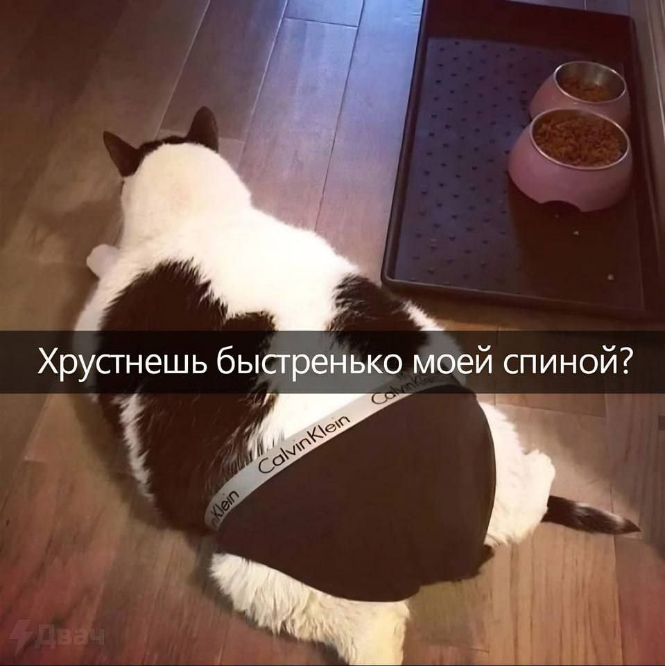 Хрустнешь быстренько моей спиной?