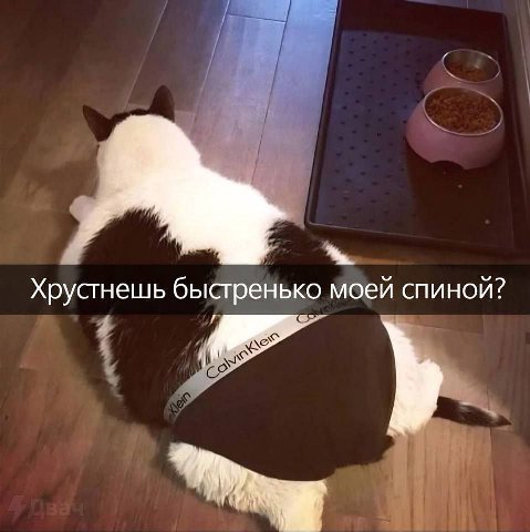 Хрустнешь быстренько моей спиной?