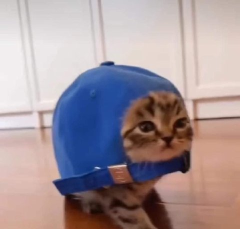 . Г = | ее