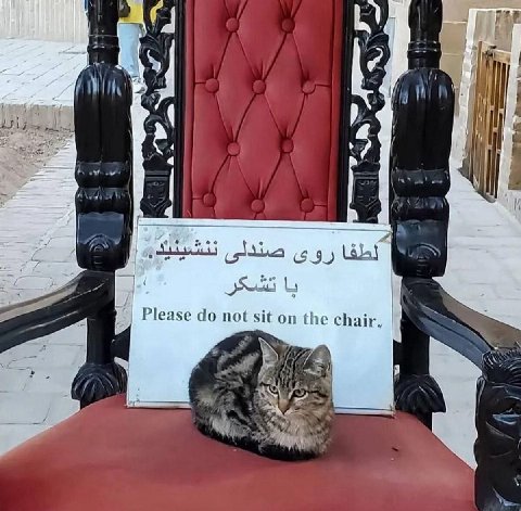 у 4 if Thy 4 9) Please not sit on the chair, А И