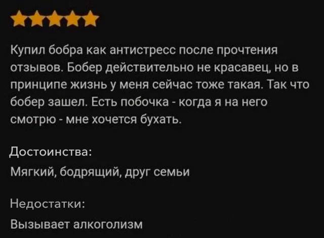 Купил бобра как антистресс после прочтения отзывов. Бобер действительно не красавец, но в принципе жизнь у меня сейчас тоже такая. Так что бобер зашел. Есть побочка когда я на него смотрю мне хочется 