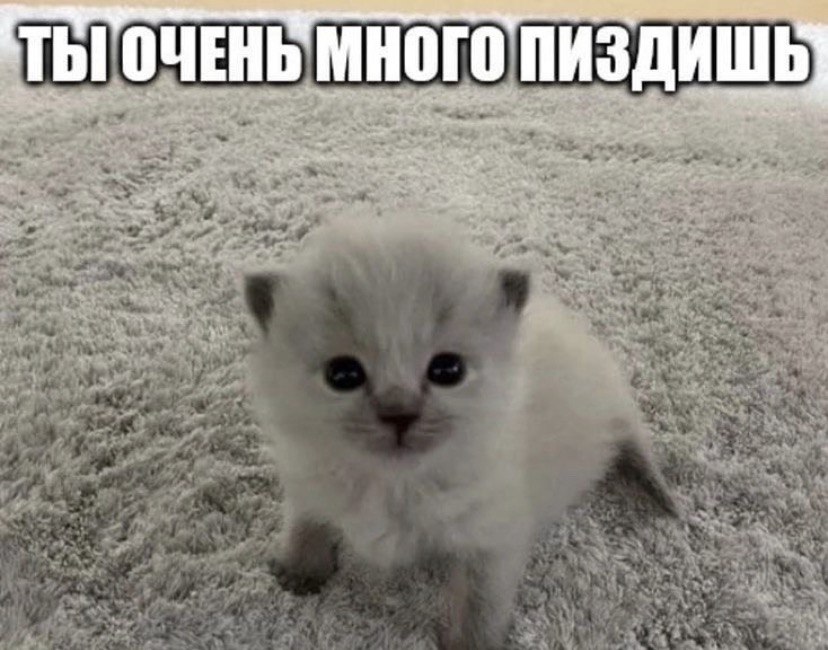 ТЫ! ОЧЕНЬ МНОГО ДИШЬ a wee a