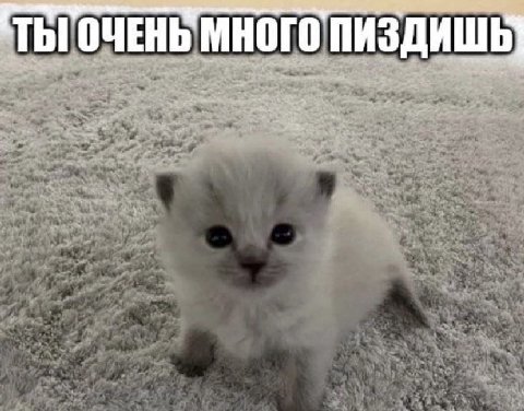 ТЫ! ОЧЕНЬ МНОГО ДИШЬ a wee a
