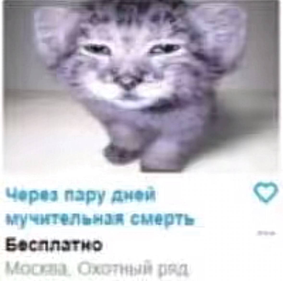Через пзру дней мучительная смерть Бесплатно