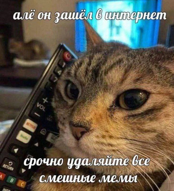 але он зашел срочно удаляйте bce смешняе MeMot