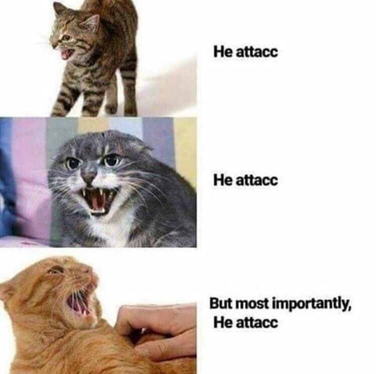 Не attacc He attacc But most importantly, He attacc
