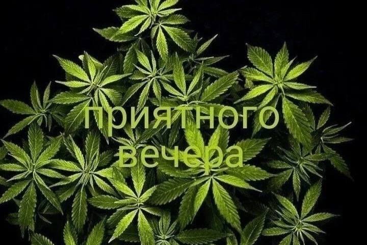 К у и