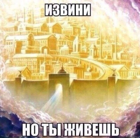 5% saith НО ТЫ ИВЕШ