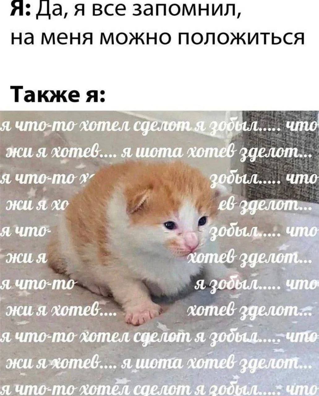 я: Да, я все запомнил, на меня можно Такжея: я что-то-хотел A что я я шота я что 4 что Я, хотеб я зобыл..... что эки я хотеб.... хотев я что-то-дотел сделот A яжотеб....