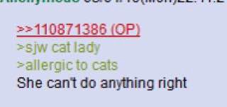 ЗЕЕ >>110871386 Cat lady to cats She cant anything right