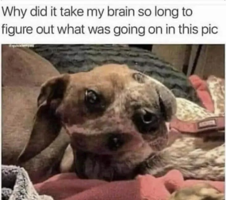 Why did it take my brain so long to figure out what was going on in this pic