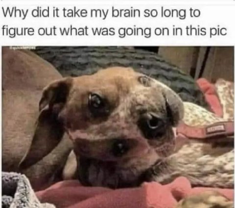 Why did it take my brain so long to figure out what was going on in this pic