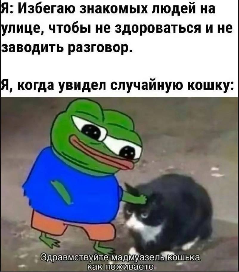 Я: Избегаю знакомых людеи на лице, чтобы не здороваться и не заводить разговор когда увидел случаиную кошку Здравмствуйте Man Kak поживаете адмуазел кошька