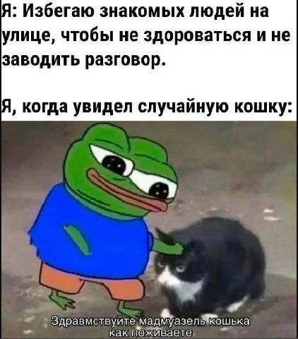 Я: Избегаю знакомых людеи на лице, чтобы не здороваться и не заводить разговор когда увидел случаиную кошку Здравмствуйте Man Kak поживаете адмуазел кошька
