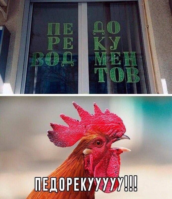 4 ДОРЕКУ