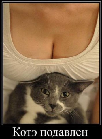 Котэ подавлен