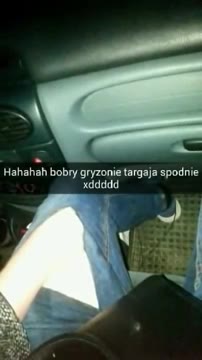 ahahah bobrygryzonietargajaspodnie Hahahah bobrygryzonie targa spodnie