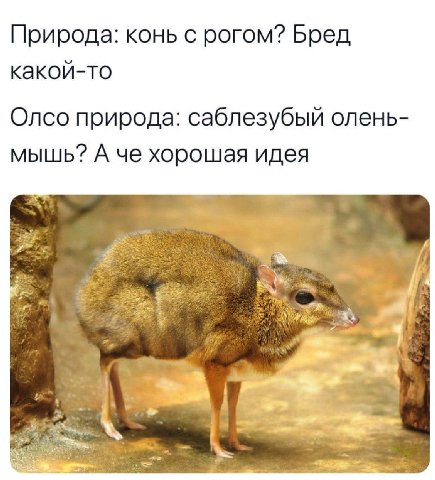 Природа: конь с рогом? Бред какой-то Олсо природа: саблезубый олень- мышь? А че хорошая идея
