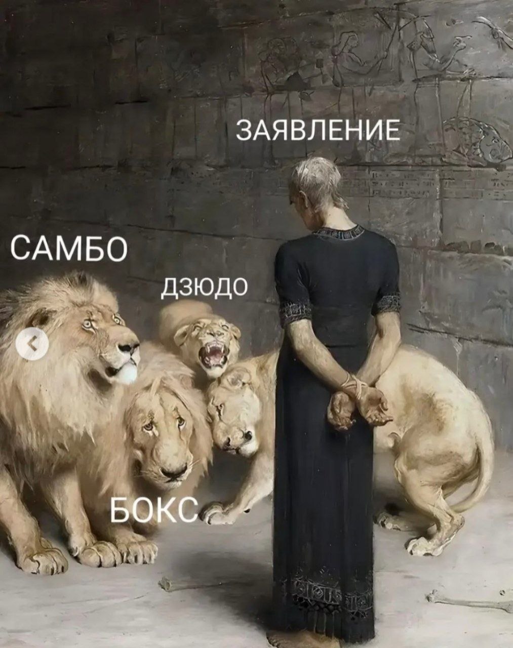ЗАЯВЛЕНИЕ САМБО Дзюдо