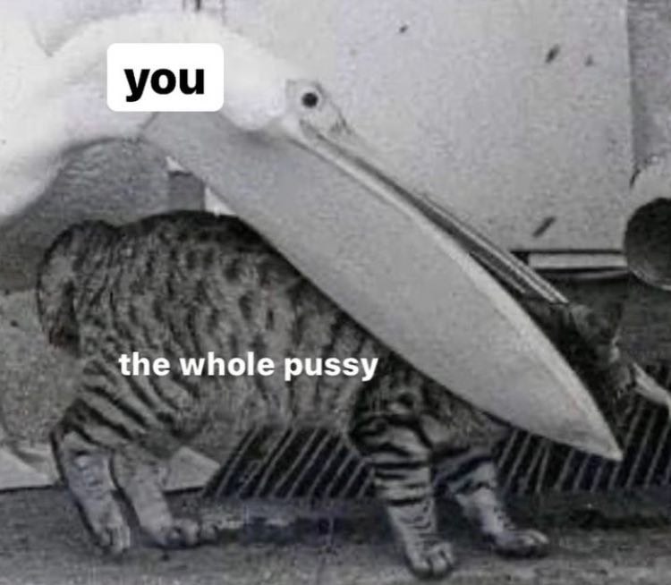 you the whole pussy