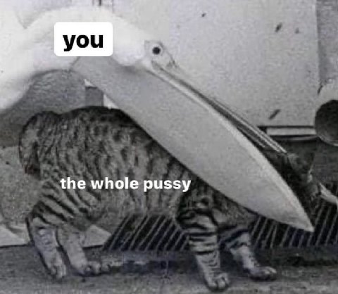 you the whole pussy
