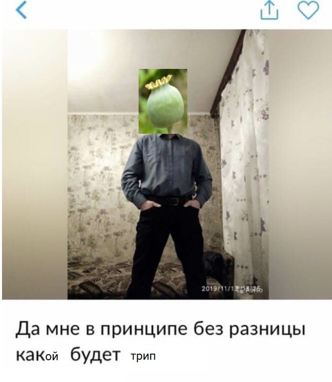Да мне в принципе без разницы какой будет трип