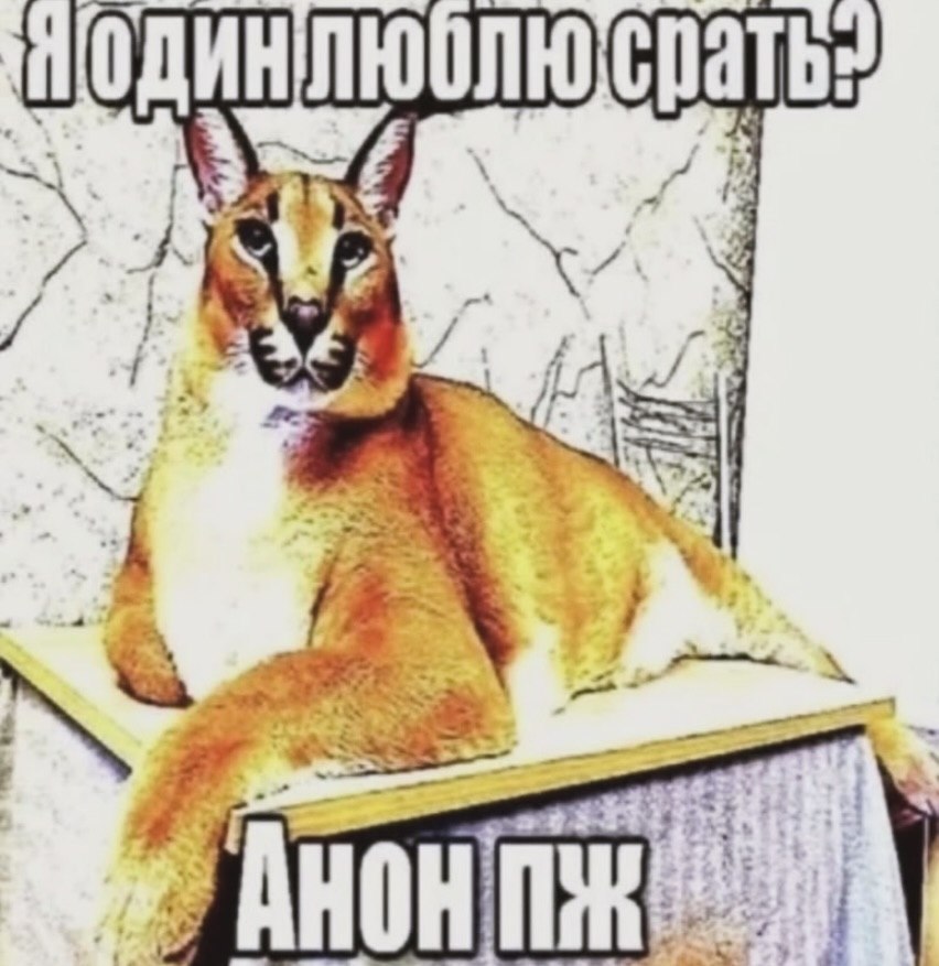 А 4 7