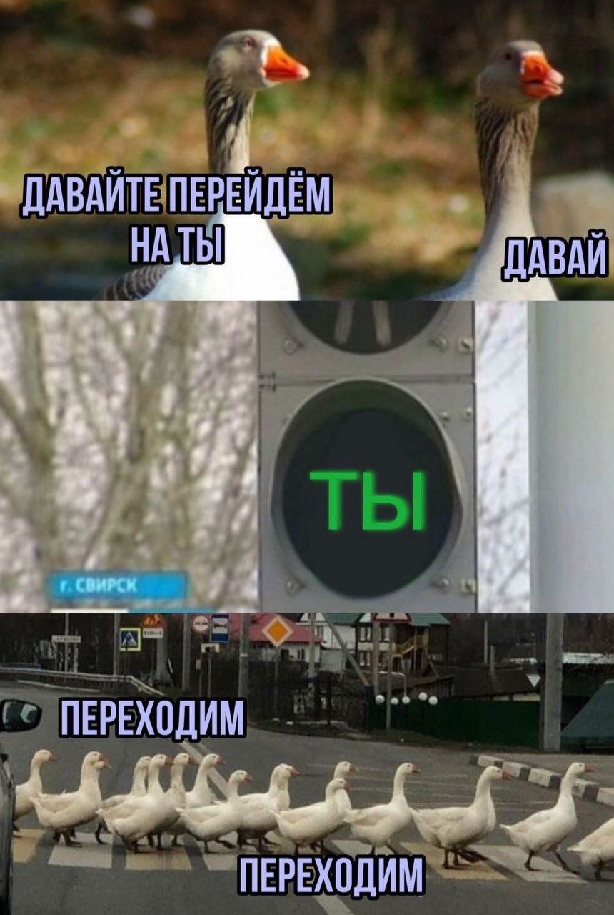 ДАВАИТЕ ПЕРЕИДЕМ ДАВАИ ПЕРЕХОДИМ is ПЕРЕХОДИМ