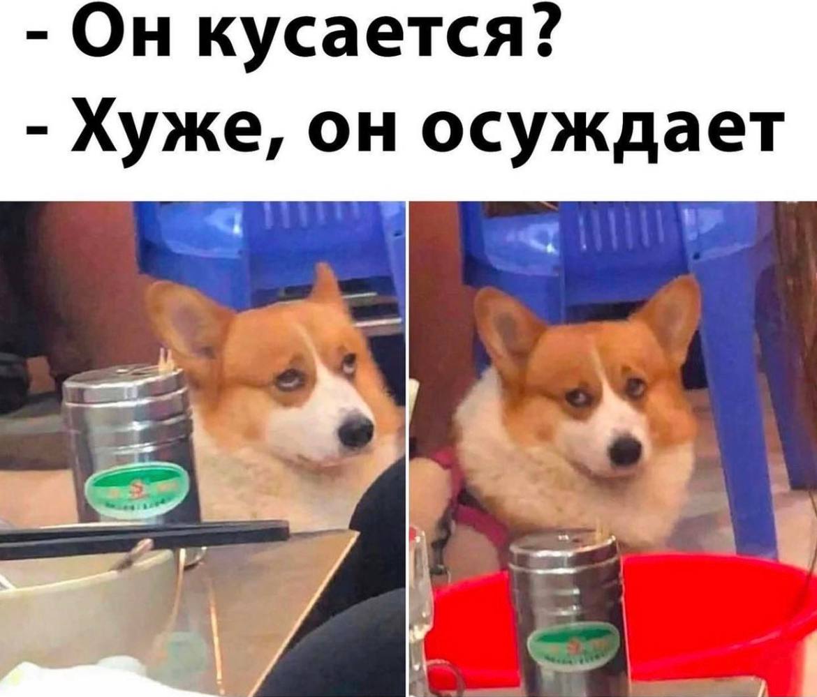 Он кусается? Хуже, он осуждает