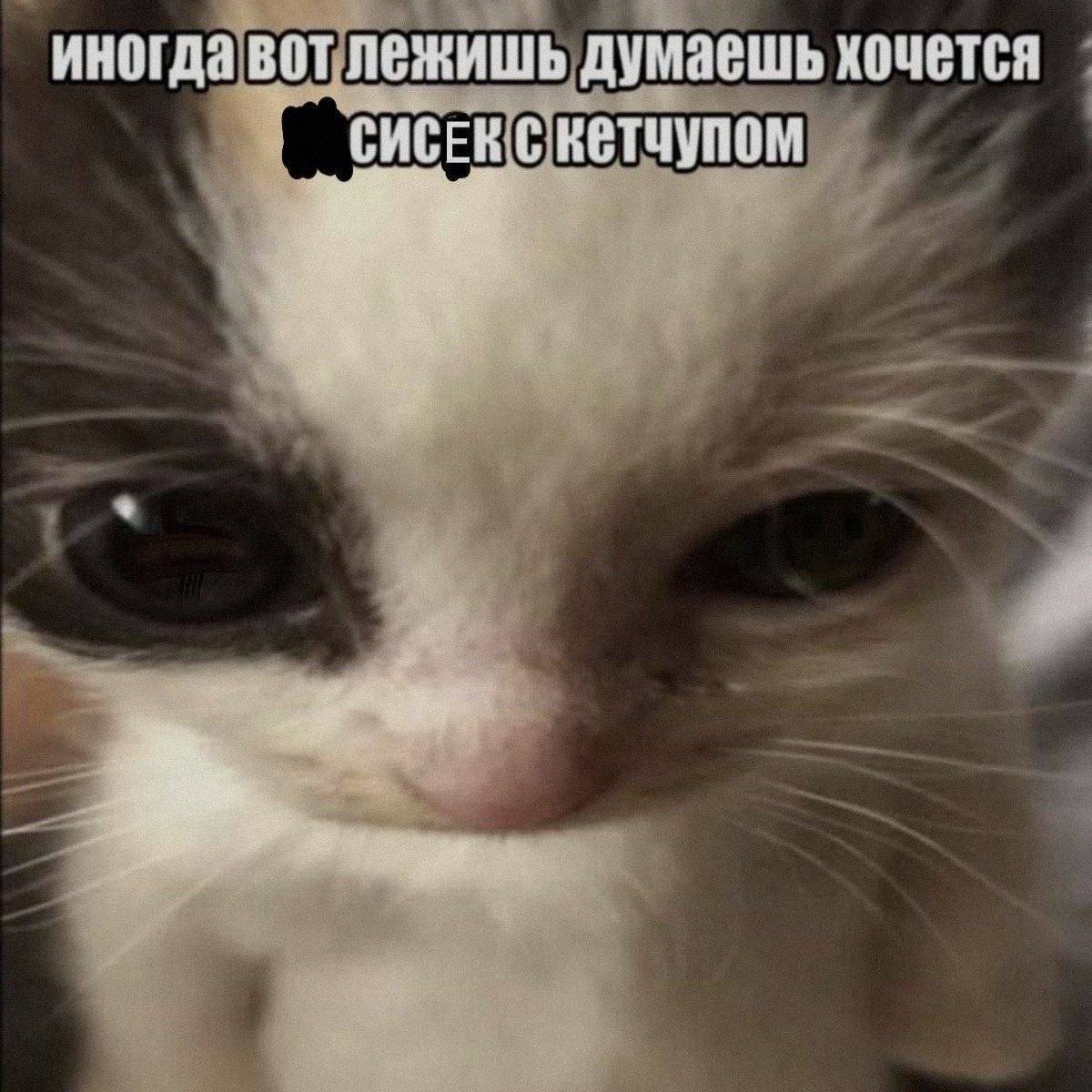иногда BOT лежишь думаешь хочется СИСЕНС кетчупом