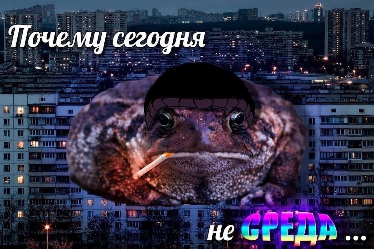 Почели сегодня 184 19 Не