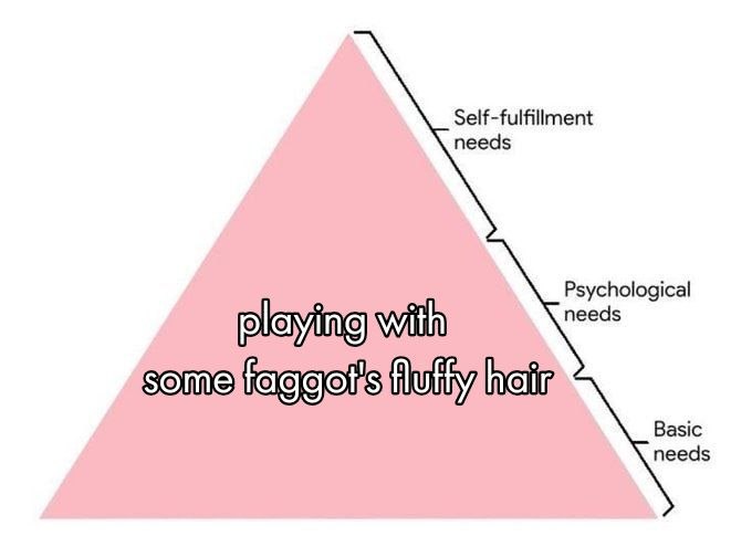 Self-fulfillment needs needs Psychological playing some Basic needs