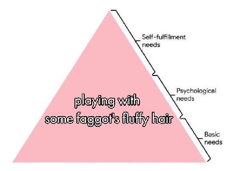 Self-fulfillment needs needs Psychological playing some Basic needs