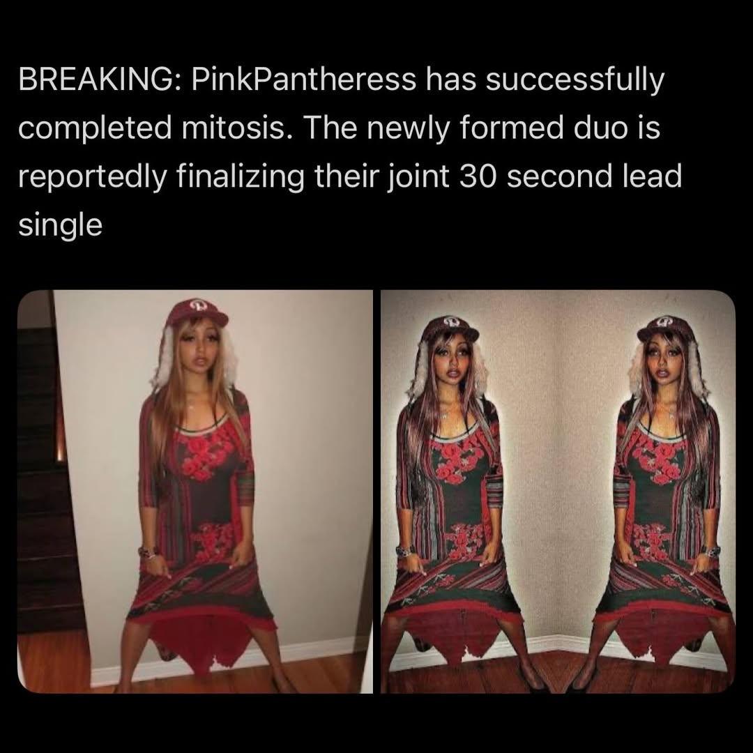BREAKING: PinkPantheress has successfully completed mitosis. The newly formed duo is reportedly finalizing their joint 30 second lead single