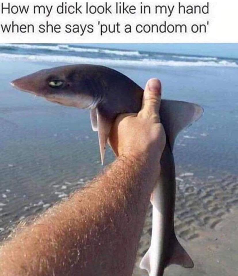 How my dick look like in my hand when she says ‘put a condom A