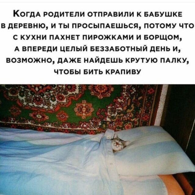 Когда рОДИТЕЛИ ОТПРАВИЛИ К БАБУШКЕ В ДЕРЕВНЮ, И ТЫ ПРОСЫПАЕШЬСЯ, ПОТОМУ ЧТО С КУХНИ ПАХНЕТ ПИРОЖКАМИ И БОРЩОМ, А ВПЕРЕДИ ЦЕЛЫЙ БЕЗЗАБОТНЫЙ ДЕНЬ И, ВОЗМОЖНО, ДАЖЕ НАЙДЕШЬ КРУТУЮ ПАЛКУ, ЧТОБЫ БИТЬ КРАПИ