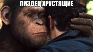 ПИЗДЕЦ ХРУСТЯЩИЕ