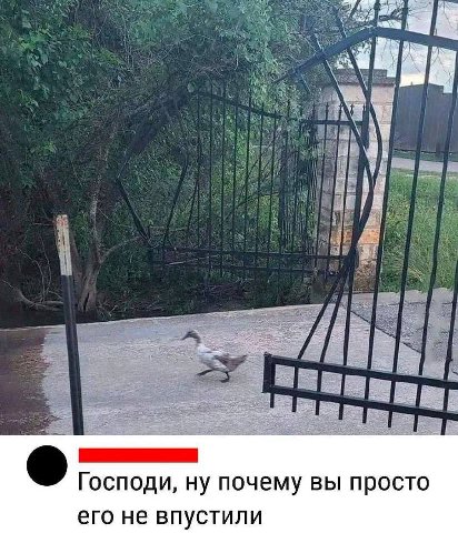 Господи, ну почему вы просто его не впустили
