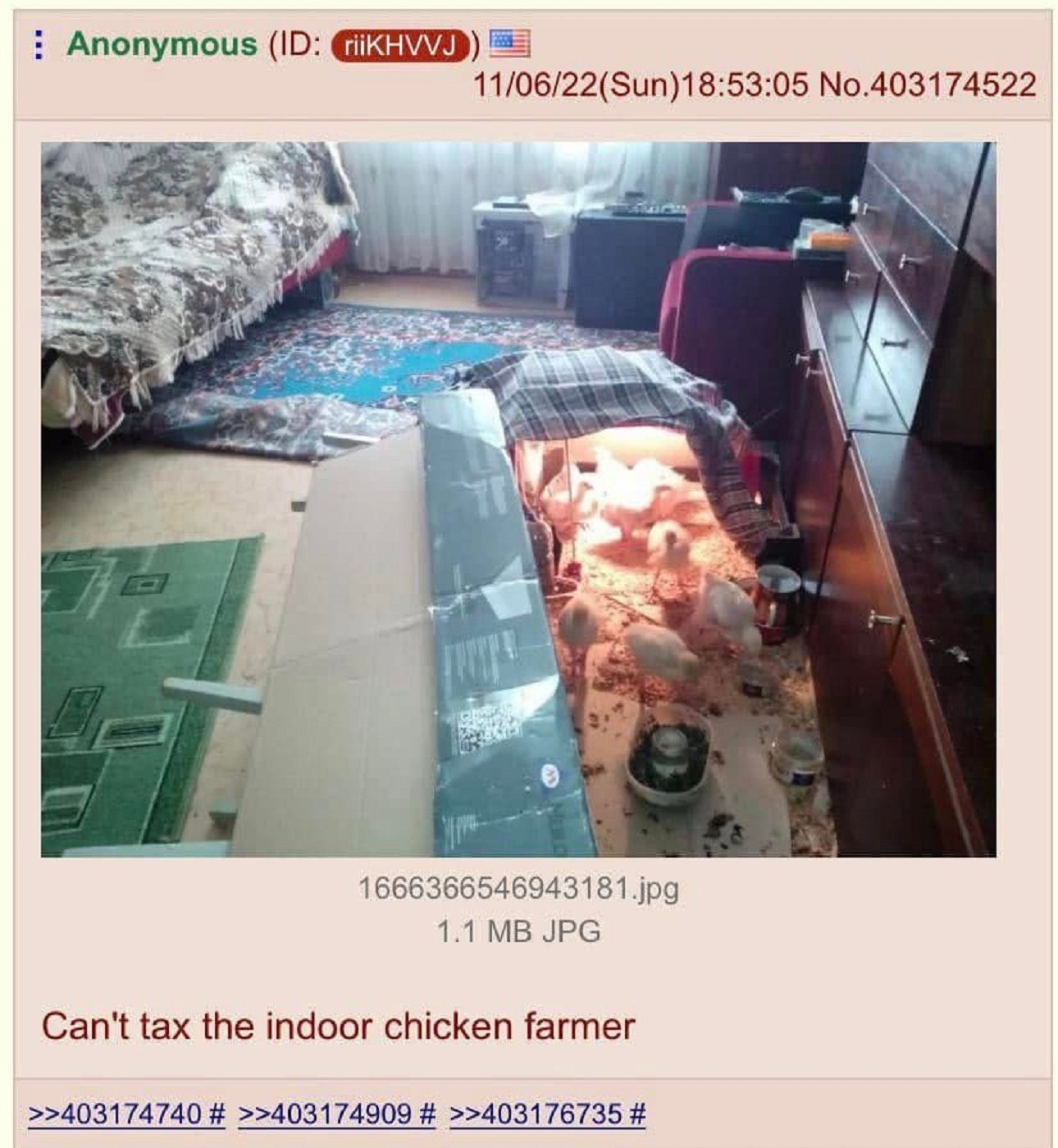 Anonymous 11/06/22(Sun)18:53:05 No.403174522 i 1 6663665469431 81.jpg 1.1 JPG Can't tax the indoor chicken farmer >>403174740 >>403174909 >>403176735