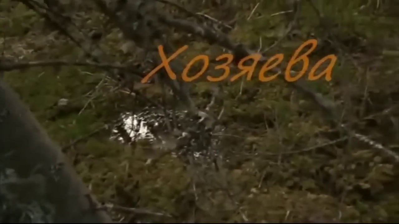 "Хозяева", 2015
реж. Сергей Дятлов

Наверное, это будет моя главная рекомендация перед наступающим Хэллоуином. Сперва я писал какой-то пересказ сюжета с полноценным разбором, но подумал, что мои впеча