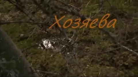 "Хозяева", 2015
реж. Сергей Дятлов

Наверное, это будет моя главная рекомендация перед наступающим Хэллоуином. Сперва я писал какой-то пересказ сюжета с полноценным разбором, но подумал, что мои впеча
