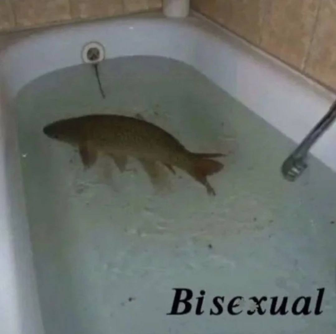 Bisexual