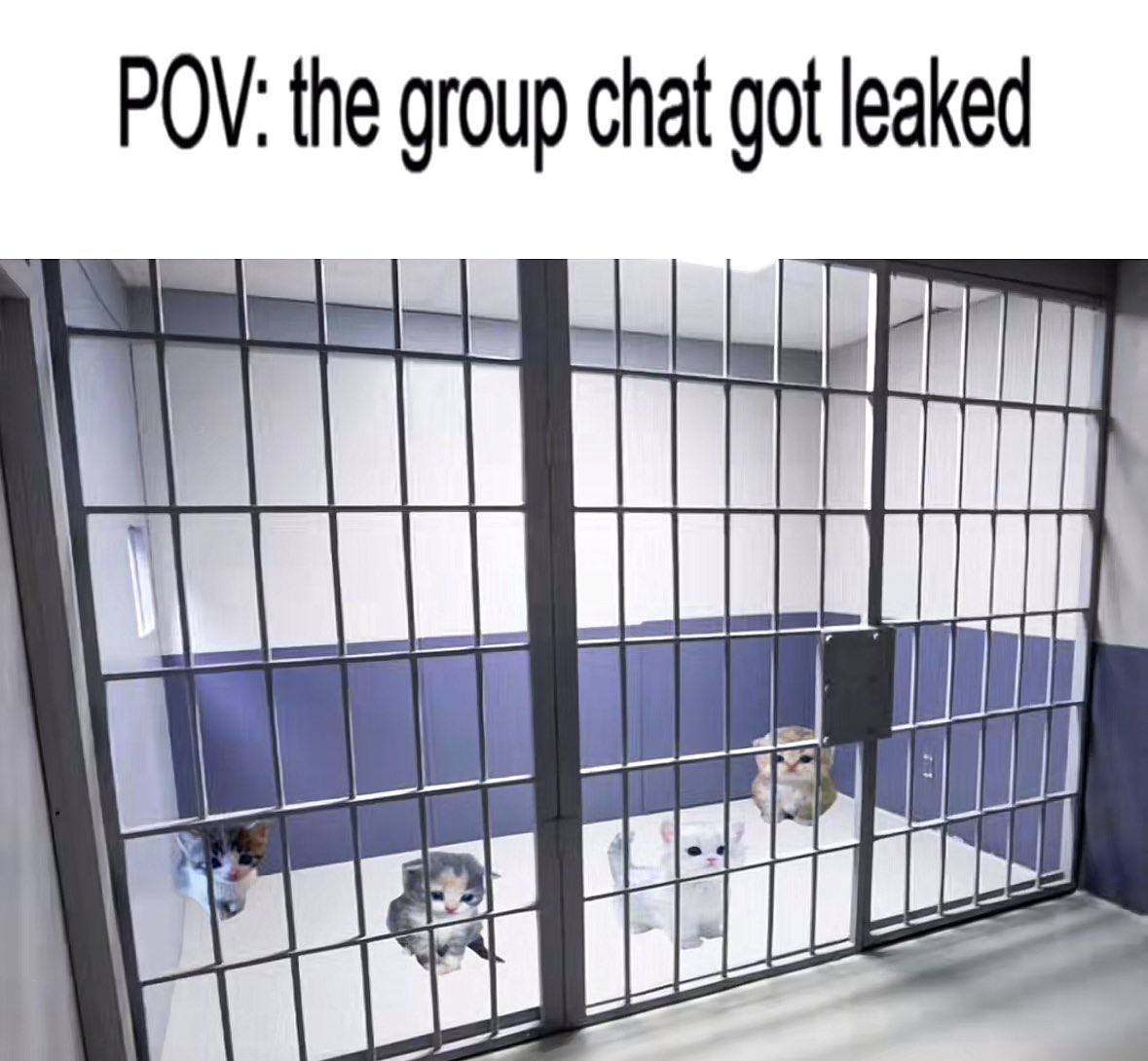 POV: the group chat got leaked